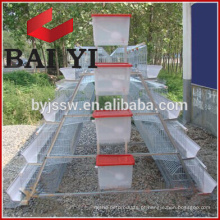 Alta qualidade Tanzania Layer Poultry Farm Chicken Cage Para Venda